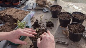 1 m³ de terreau en kilo