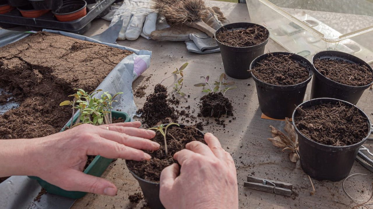 1 m³ de terreau en kilo