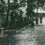 Différence entre rares averses et pluies éparses