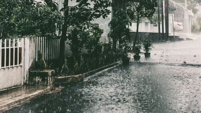 Différence entre rares averses et pluies éparses