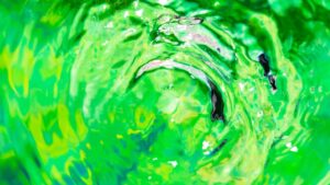 Eau de piscine verte