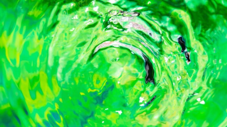 Eau de piscine verte