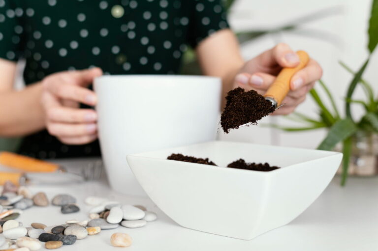 Plantes qui n’aiment pas le marc de café