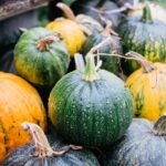 Courge musquée verte