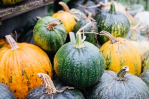 Courge musquée verte