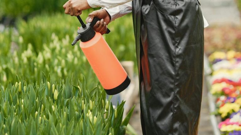 Roundup pour 5 litres d’eau