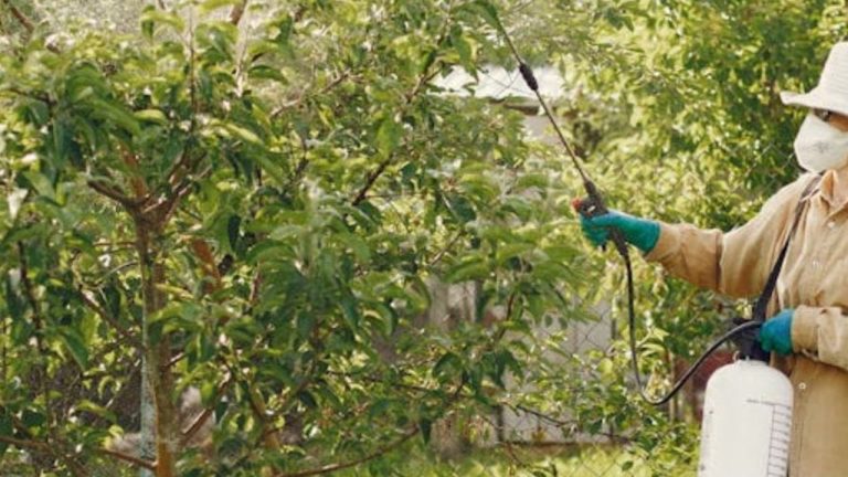 Glyphosate pour 5 litres d’eau