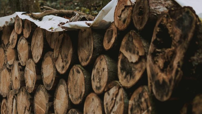 Bois de chauffage 40 euros le stère