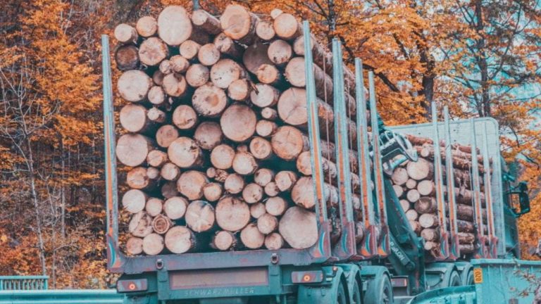 Semi-remorque de bois de chauffage en 2 mètres