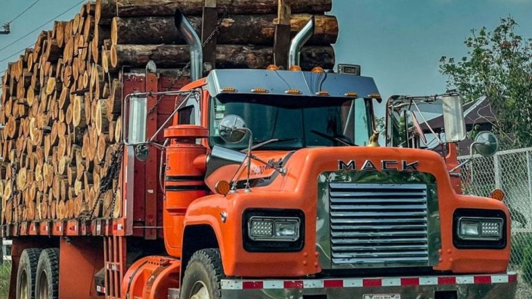 Prix d’un camion de bois en grume