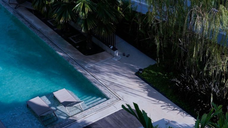 Arbres planter autour d’une piscine