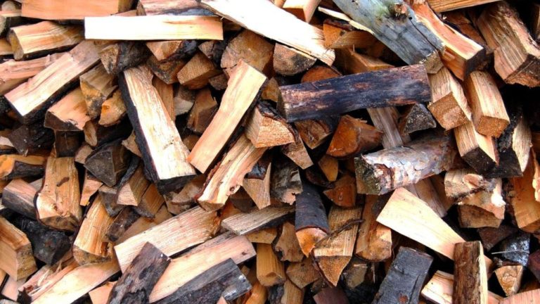Prix d’un stère de bois en 50 cm