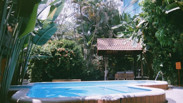 Bananier près d’une piscine