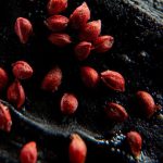 Crottes contenant des noyaux de cerise