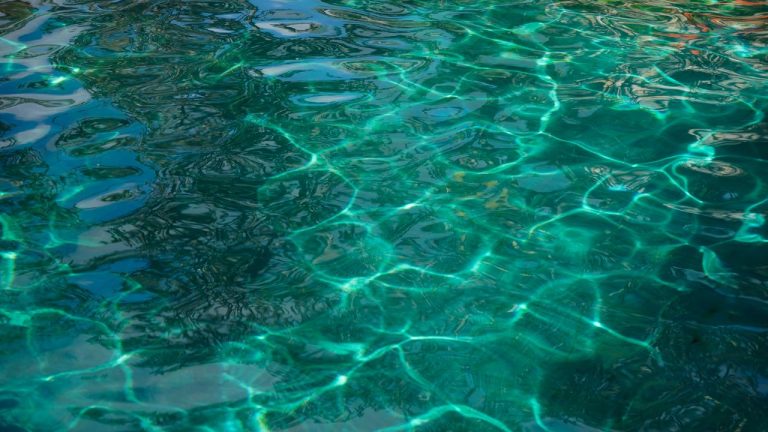 Eau de piscine verte